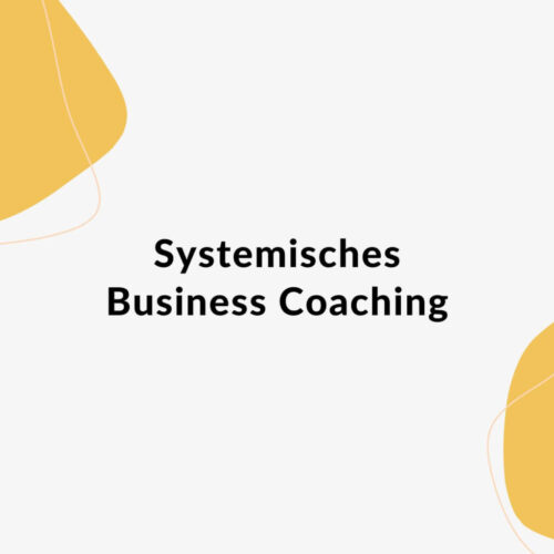 Systemisches Business Coaching